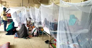 ময়মনসিংহ মেডিকেলে ডেডিকেটেড ডেঙ্গু ওয়ার্ড চালু